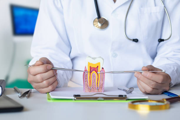 Best Mobile Emergency Dentist in Dacula, GA